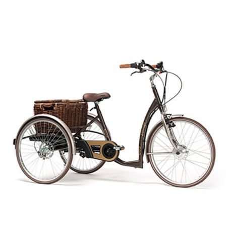 Tricycle Vintage adulte4785