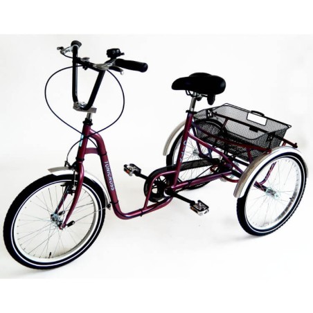 Tricycle city Tonicross4793